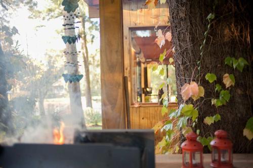 Lodge Gioia