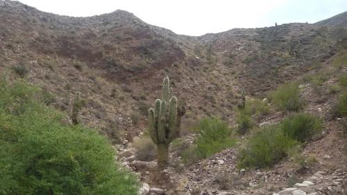 Lodge La Quinta De Mar�a, Tilcara