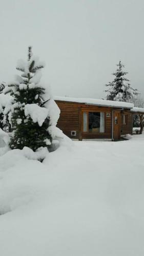 Lodge Caba�as Pa�il