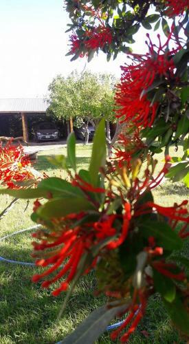 Lodge Caba�as Pa�il