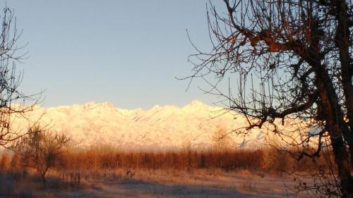 Posada Finca La Clementina