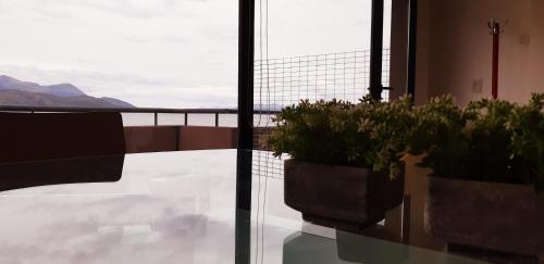 Apartamento Ushuaia Flat I