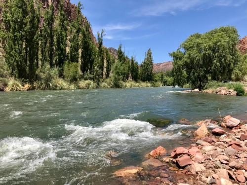 Hotel Caba�as Econature