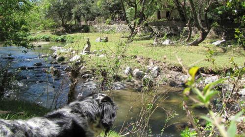 La Casona Del R�o