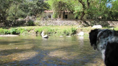 La Casona Del R�o