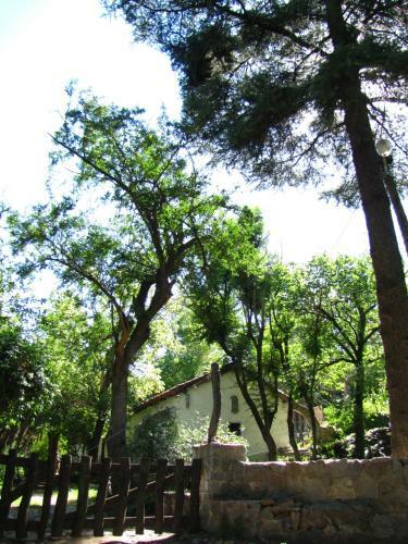 La Casona Del R�o