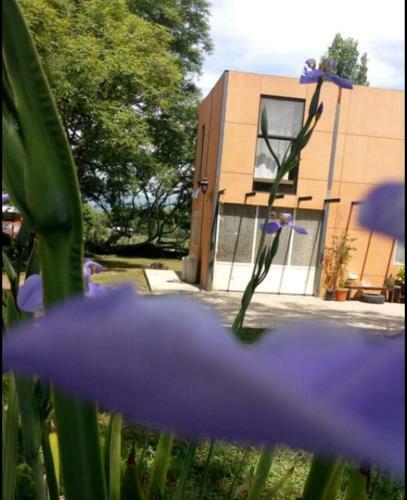 Las Mercedes Casa De Campo