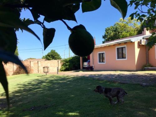 Lodge Las Casitas De Milo