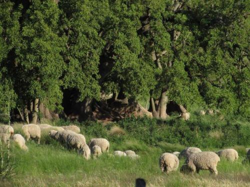 Agroturismo Establecimiento Horizonte