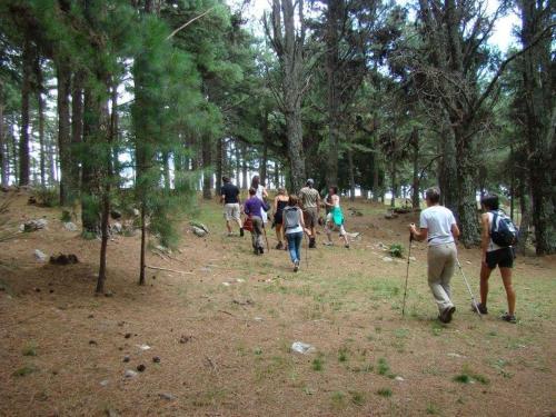 Lodge Aldea Aventur