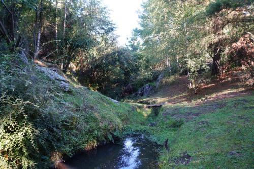 Lomas De Berna