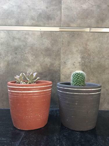 Apartamento Mi Casa Tu Casa