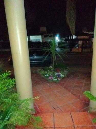 Posada De Los Pajaros