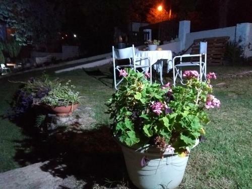 Posada De Los Pajaros