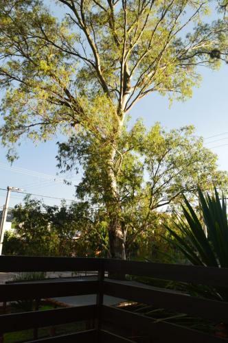 Lodge Caba�as C&c