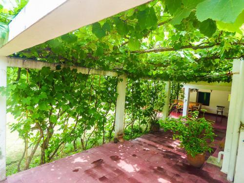 Agroturismo La Casa De Don Pepe