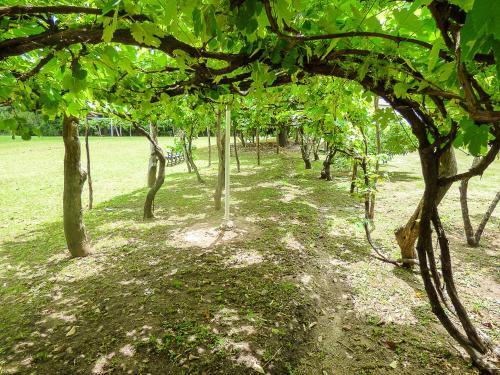 Agroturismo La Casa De Don Pepe