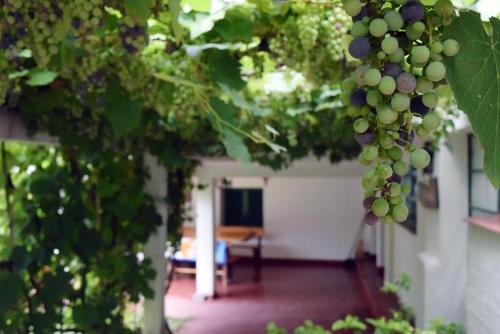 Agroturismo La Casa De Don Pepe