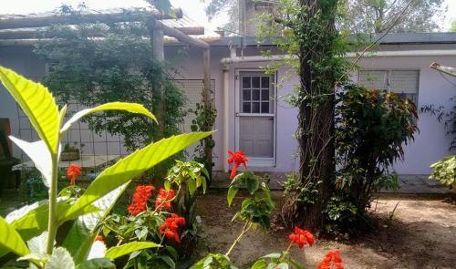 Apartamento Alojamientos Ali-a