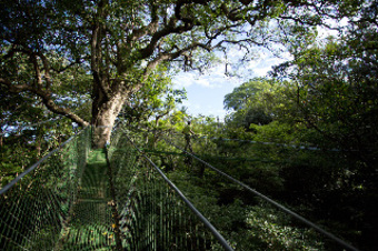 Hotel Buena Vista Lodge