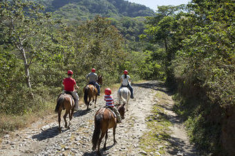 Hotel Buena Vista Lodge