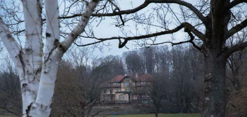 Hotel Waldhaus Jakob