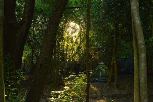 Casa En El Bosque