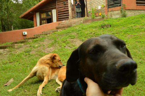 Casa En El Bosque