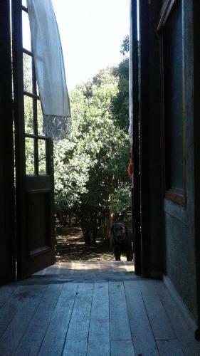 Casa En El Bosque