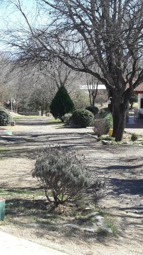 Posada Verrucktabenteurer