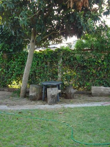 Apartamento Agesell II