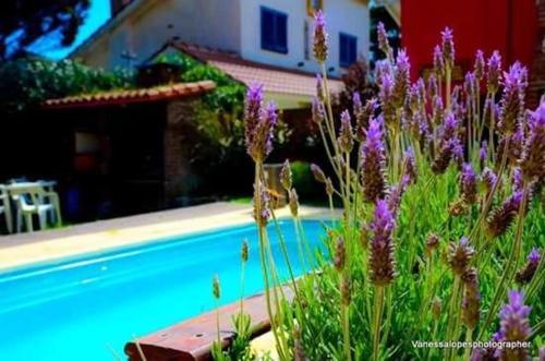 Posada Villa Olimpia Caba�as