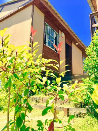Lodge Villa Gesell Tu Lugar