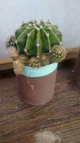 La Secreta
