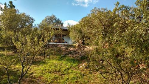 Lodge Complejo Cuesta Los Robles