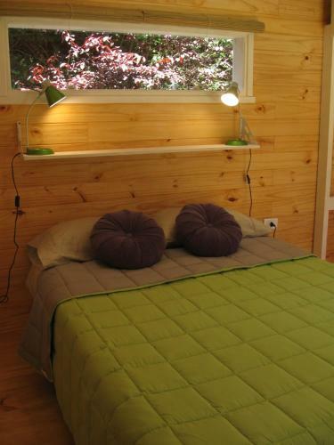 Bed & Breakfast Dodo House