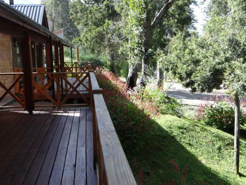 Lodge Lupines Bahia Kraft