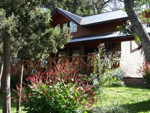 Lodge Lupines Bahia Kraft
