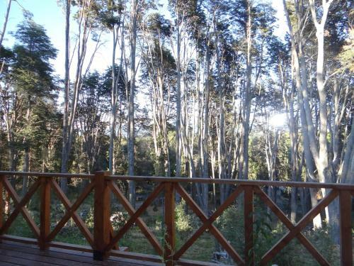 Lodge Lupines Bahia Kraft