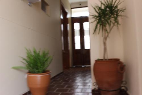 Hotel Eclat Suites