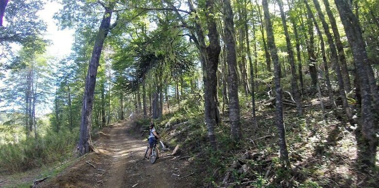 Lodge Car�n - Caba�as & Suites
