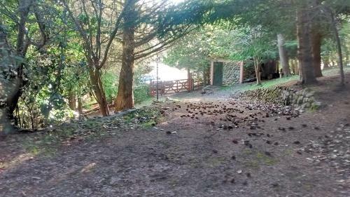 Lodge Caba�a Tamara