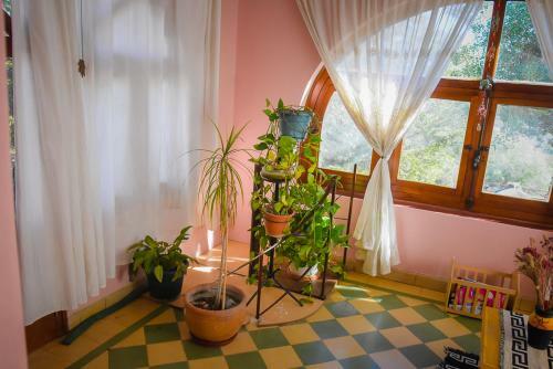 Casa Boutick