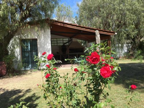 Posada Munay Resort