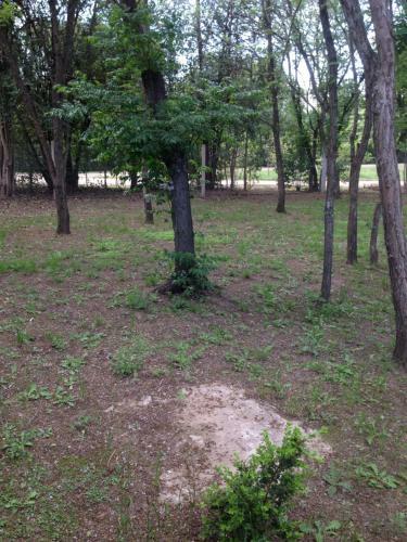 Apartamento Caba�as El Gauchito