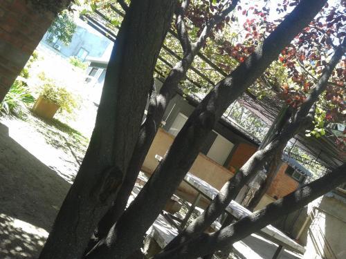 Apartamento La Damasca
