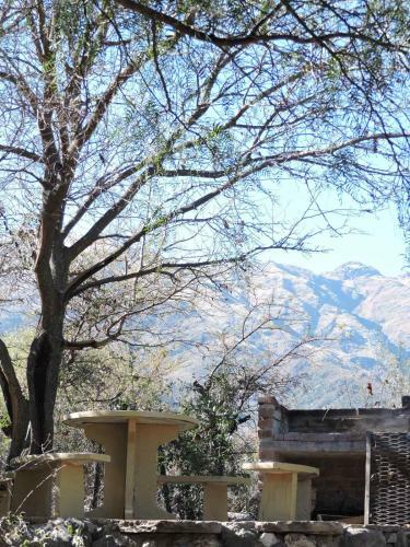 Apartamento Caba�as La Comarca