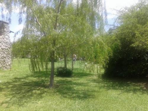 Caba�a Reina Mora