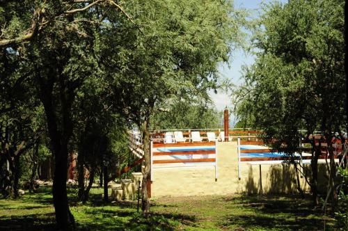 Dorado Del Sol