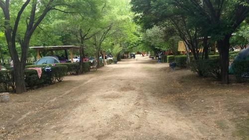Lodge Camping Y Caba�as Los �lamos